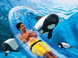 Aquatica