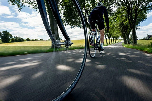 Bike Rentals