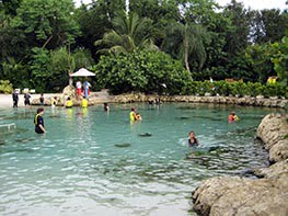 Discovery Cove