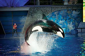 Sea World
