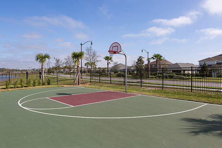 Baskeball Court