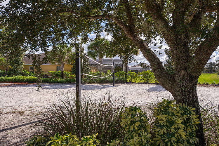 Beach Volleyball